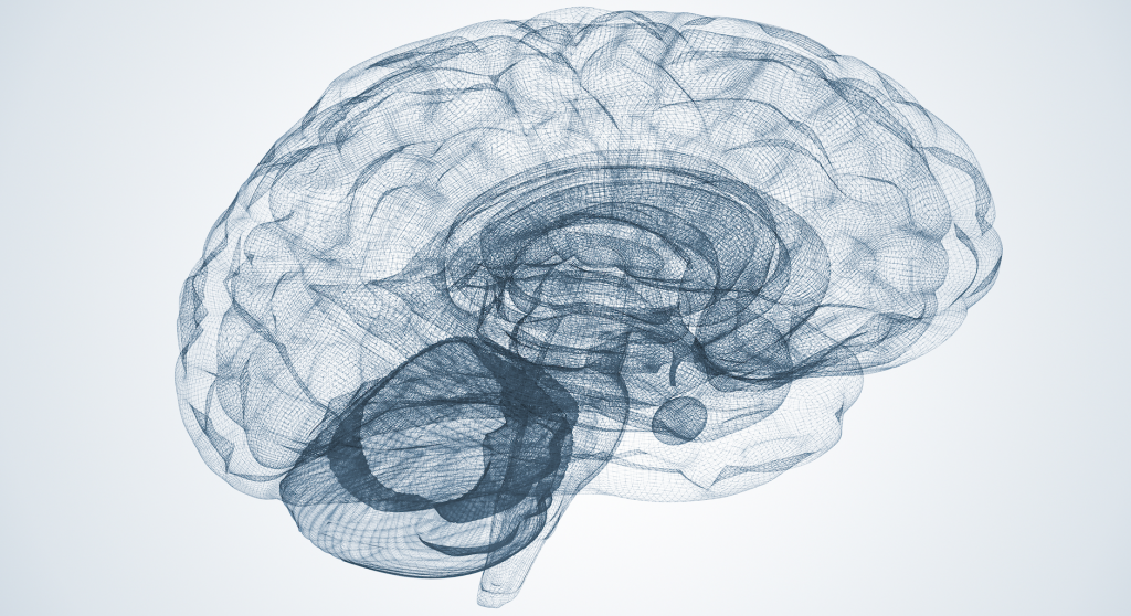 mental models charlie munger shane farnam brain model