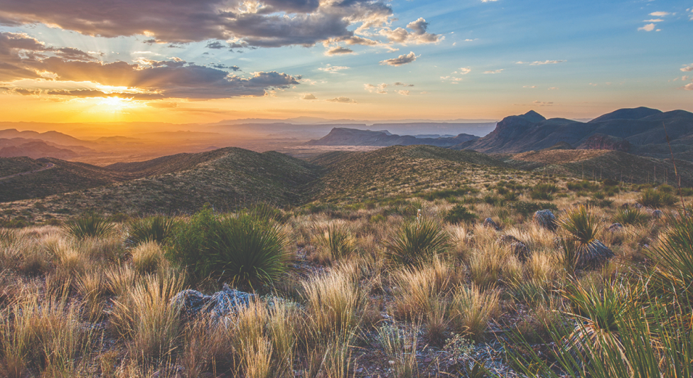 scenic image of the hill country